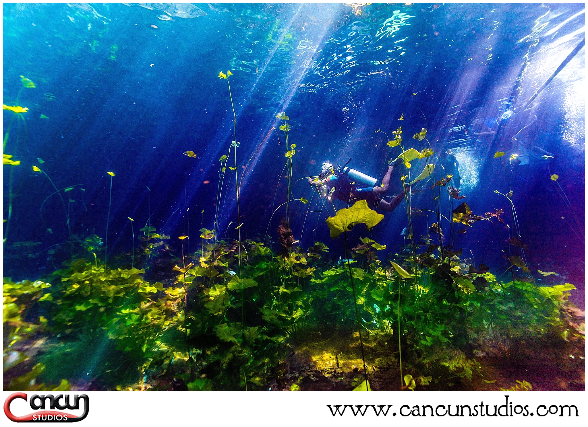 Cenote Underwater Photography